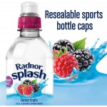 Radnor Splash - Forest Fruits - 24 x 500ml